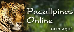 Pucallpinos Online